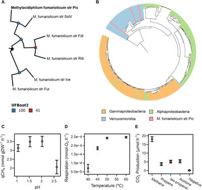 Genome-scale flux balance analysis reveals redox trade-offs in the metabolism of the thermoacidophile Methylacidiphilum fumariolicum under auto-, hetero-and methanotrophic conditions